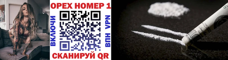 Купить закладки  Первомайск  COCAIN Эквадор 