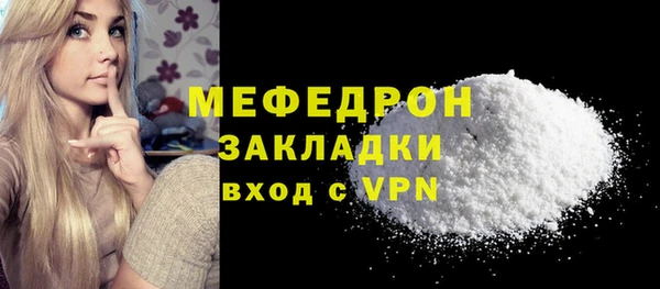 стаф Ельня