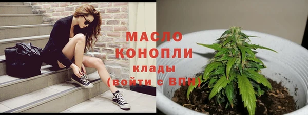 стаф Ельня