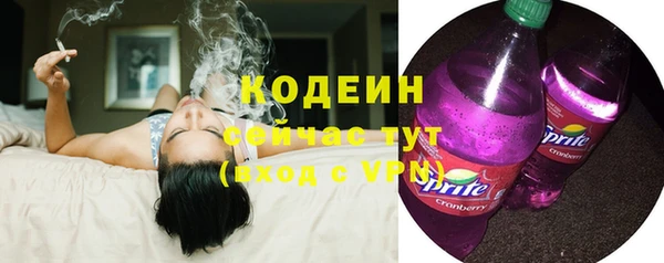 твердый Елабуга