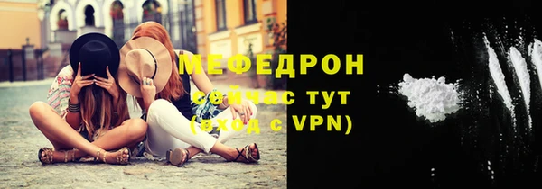 стаф Ельня