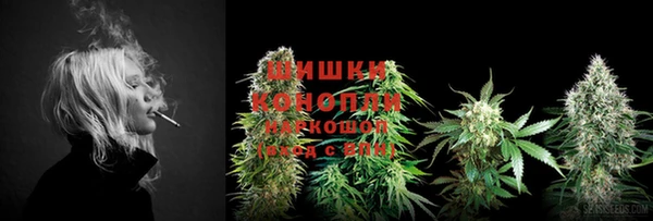 твердый Елабуга
