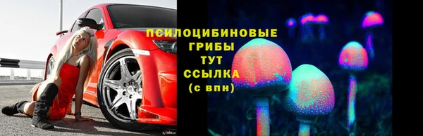 хмурый Елизово
