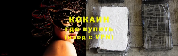 стаф Ельня