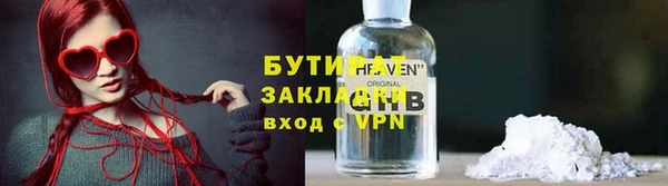 стаф Ельня