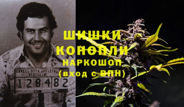 стаф Ельня