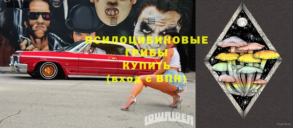 стаф Ельня