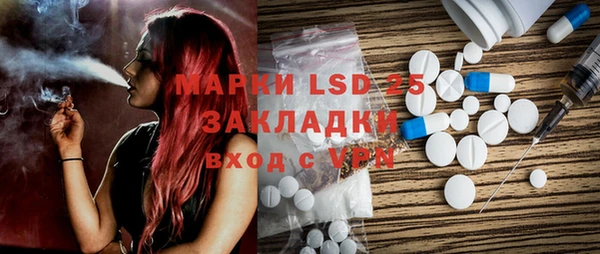 стаф Ельня