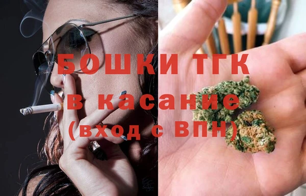 стаф Ельня