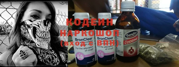 стаф Ельня
