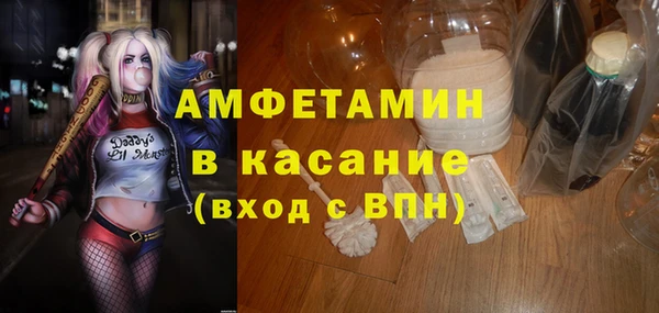 стаф Ельня