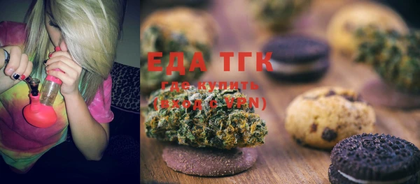 стаф Ельня