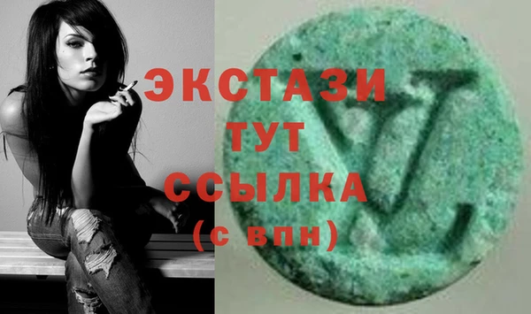 стаф Ельня