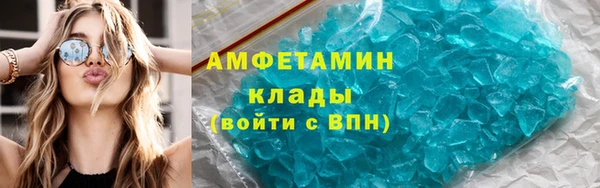 стаф Ельня