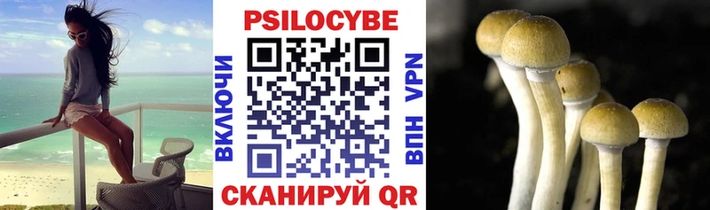 Псилоцибиновые грибы Magic Shrooms  Купить закладки  Первомайск 
